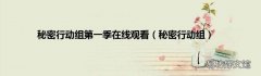 秘密行动组 秘密行动组第一季在线观看