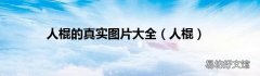 人棍 人棍的真实图片大全