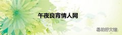 午夜良宵情人网