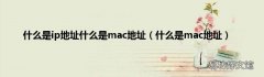 什么是mac地址 什么是ip地址什么是mac地址