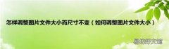 如何调整图片文件大小 怎样调整图片文件大小而尺寸不变