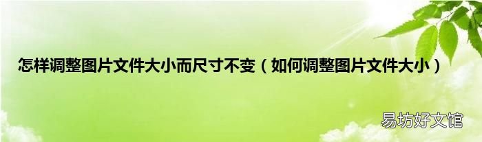 如何调整图片文件大小 怎样调整图片文件大小而尺寸不变