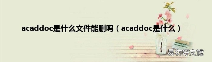 acaddoc是什么 acaddoc是什么文件能删吗