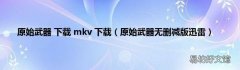 原始武器无删减版迅雷 原始武器 下载 mkv 下载