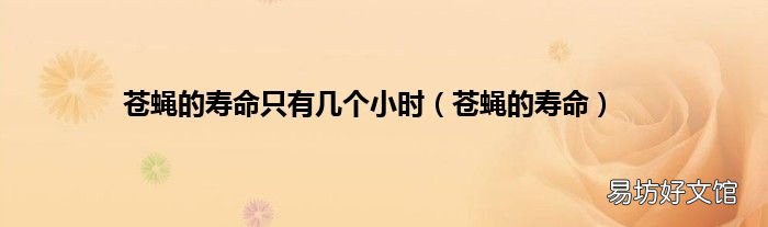 苍蝇的寿命 苍蝇的寿命只有几个小时