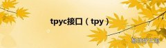 tpy tpyc接口