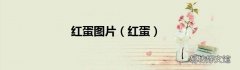 红蛋 红蛋图片