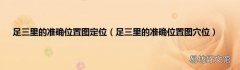 足三里的准确位置图穴位 足三里的准确位置图定位