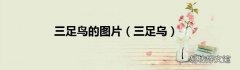 三足乌 三足鸟的图片