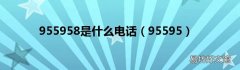 95595 955958是什么电话