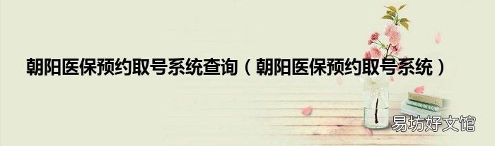 朝阳医保预约取号系统 朝阳医保预约取号系统查询