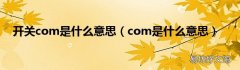 com是什么意思 开关com是什么意思