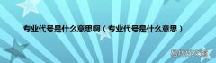 专业代号是什么意思 专业代号是什么意思啊