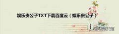 娱乐贵公子 娱乐贵公子TXT下载百度云