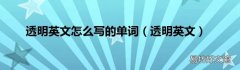 透明英文 透明英文怎么写的单词