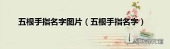 五根手指名字 五根手指名字图片