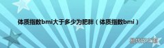 体质指数bmi 体质指数bmi大于多少为肥胖