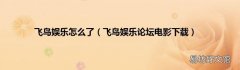 飞鸟娱乐论坛电影下载 飞鸟娱乐怎么了