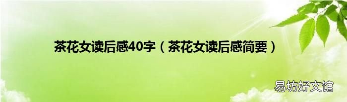 茶花女读后感简要 茶花女读后感40字