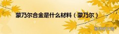 蒙乃爾 蒙乃爾合金是什么材料