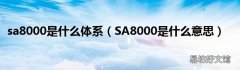 SA8000是什么意思 sa8000是什么体系