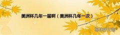 美洲杯几年一次 美洲杯几年一届啊