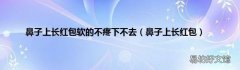 鼻子上长红包 鼻子上长红包软的不疼下不去