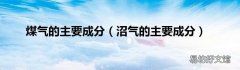 沼气的主要成分 煤气的主要成分