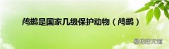 鸬鹚 鸬鹚是国家几级保护动物