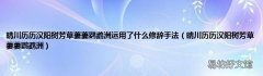 晴川历历汉阳树芳草萋萋鹦鹉洲 晴川历历汉阳树芳草萋萋鹦鹉洲运用了什么修辞手法