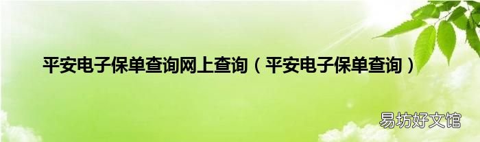 平安电子保单查询 平安电子保单查询网上查询