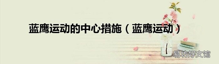 蓝鹰运动 蓝鹰运动的中心措施