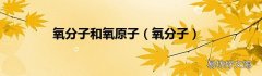 氧分子 氧分子和氧原子