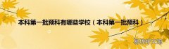 本科第一批预科 本科第一批预科有哪些学校