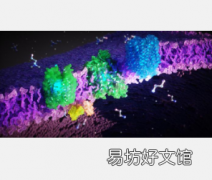 研究人员追踪罕见遗传病