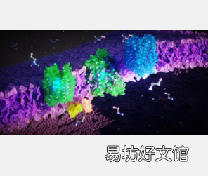 研究人员追踪罕见遗传病