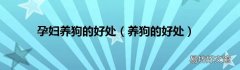 养狗的好处 孕妇养狗的好处