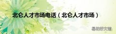 北仑人才市场 北仑人才市场电话