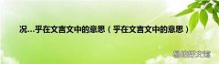 乎在文言文中的意思 况…乎在文言文中的意思