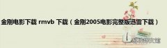 金刚2005电影完整版迅雷下载 金刚电影下载 rmvb 下载