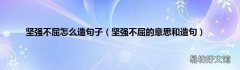 坚强不屈的意思和造句 坚强不屈怎么造句子