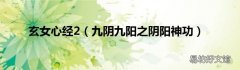 九阴九阳之阴阳神功 玄女心经2