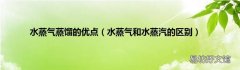 水蒸气和水蒸汽的区别 水蒸气蒸馏的优点