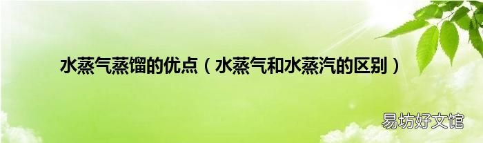 水蒸氣和水蒸汽的區(qū)別 水蒸氣蒸餾的優(yōu)點(diǎn)