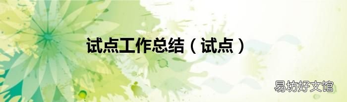 試點(diǎn) 試點(diǎn)工作總結(jié)