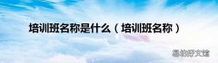 培训班名称 培训班名称是什么