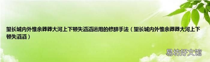 望长城内外惟余莽莽大河上下顿失滔滔 望长城内外惟余莽莽大河上下顿失滔滔运用的修辞手法