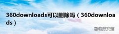 360downloads 360downloads可以删除吗