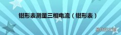 钳形表 钳形表测量三相电流