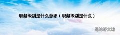 职务级别是什么 职务级别是什么意思